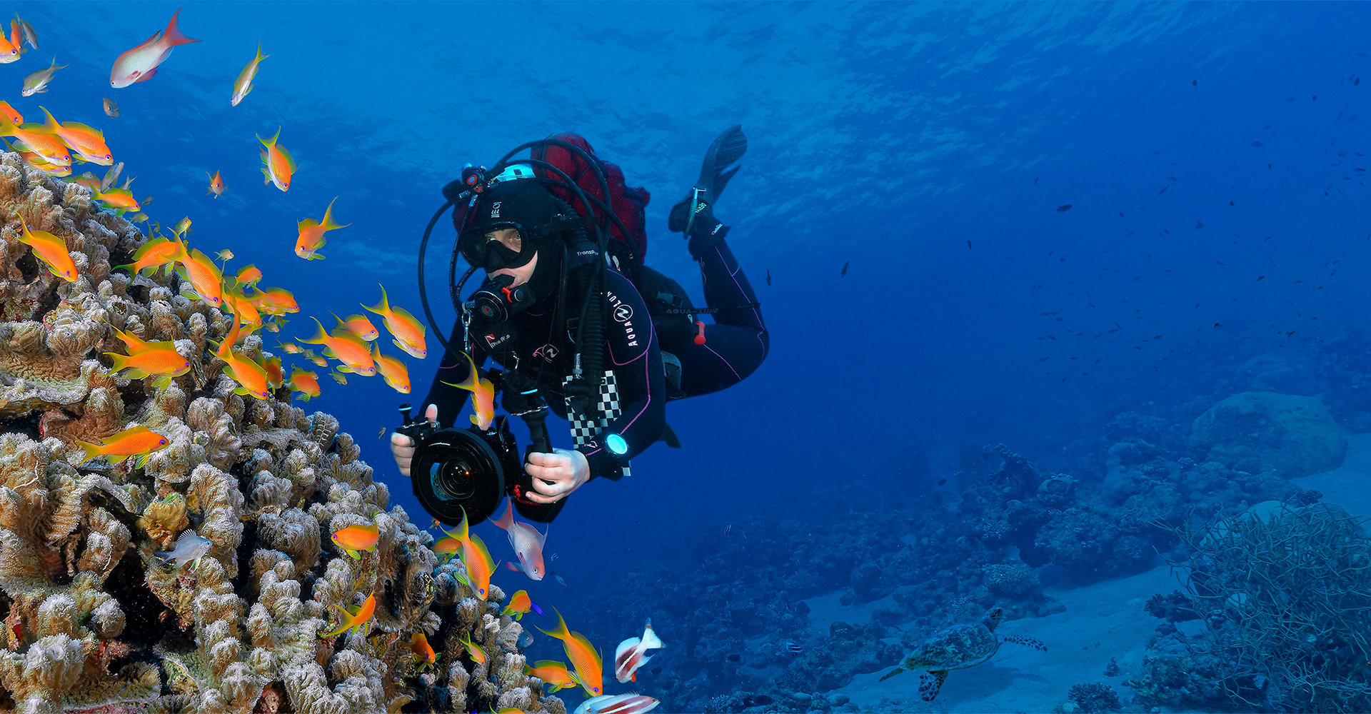 Click to open large image צוללן מתחת למים אוחז במצלמה