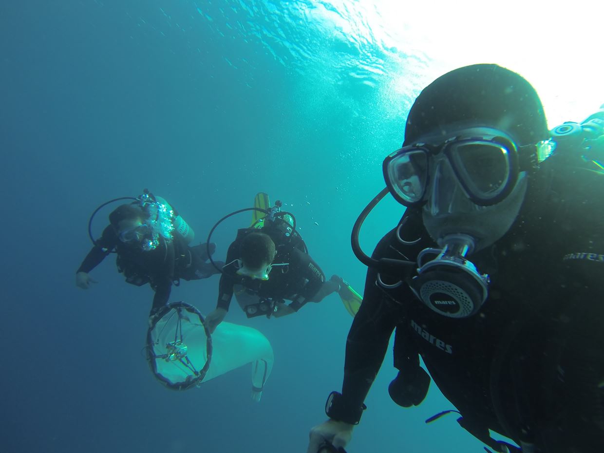 Click to open large image 